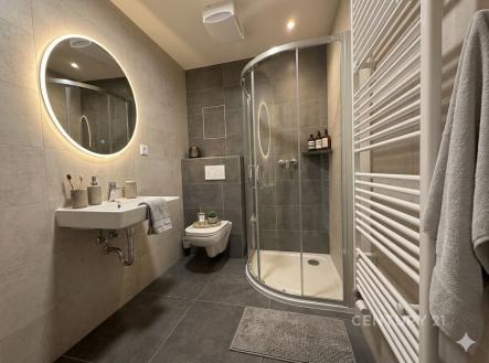 Pronájem bytu, 2+kk, 54 m²