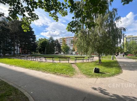 Pronájem bytu, 3+1, 71 m²