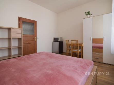 Pronájem bytu, 1+kk, 29 m²