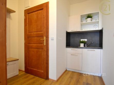 Pronájem bytu, 1+kk, 29 m²