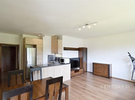 Pronájem bytu, 2+kk, 56 m²