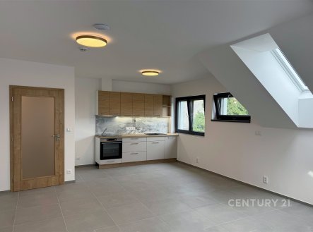 Pronájem bytu, 1+kk, 43 m²