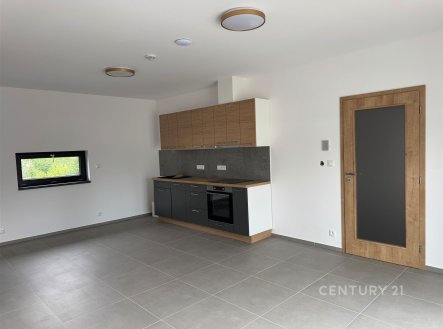 Pronájem bytu, 1+kk, 43 m²