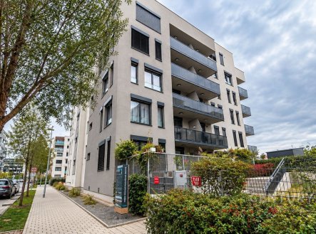 Pronájem světlého bytu 1+kk s balkonem, 35m², Praha - Hloubětín. 

