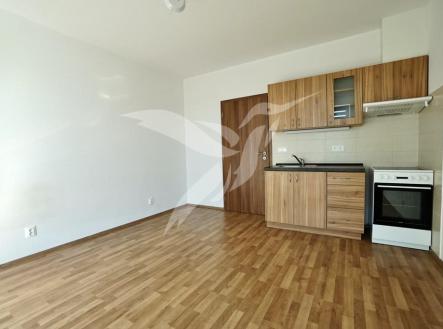 Pronájem bytu, 1+kk, 27 m²