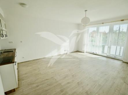 Pronájem bytu, 1+kk, 41 m²