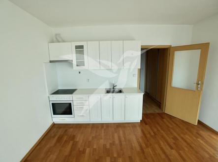 Pronájem bytu, 1+kk, 44 m²