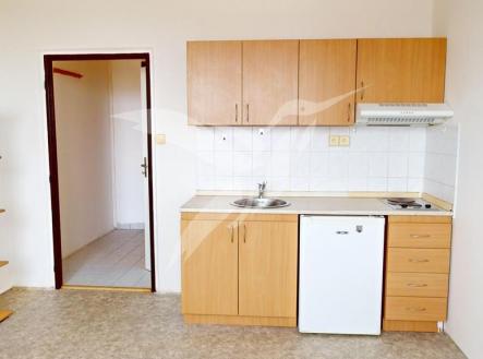 Pronájem bytu, 1+kk, 25 m²