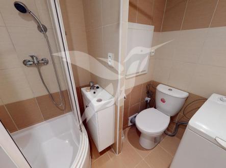 Pronájem bytu, 1+kk, 20 m²