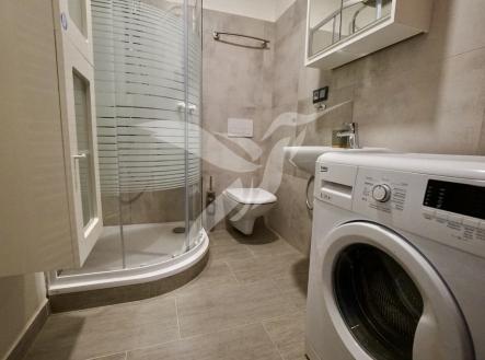 Pronájem bytu, 1+1, 38 m²