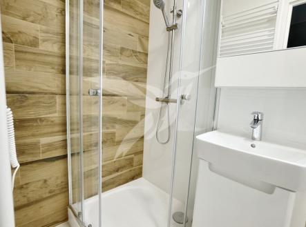 Pronájem bytu, 1+kk, 31 m²