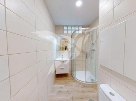 Pronájem bytu, 1+1, 45 m²