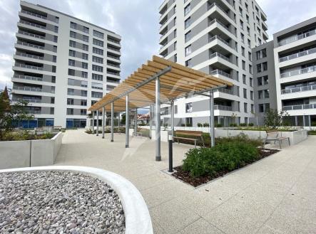 Pronájem bytu, 1+kk, 30 m²