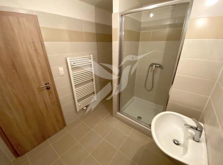 Pronájem bytu, 1+kk, 30 m²