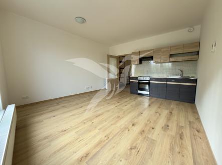 Pronájem bytu, 1+kk, 30 m²