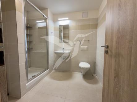 Pronájem bytu, 1+kk, 30 m²