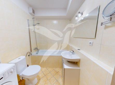 Pronájem bytu, 1+kk, 43 m²