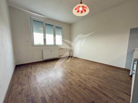 Pronájem bytu, 1+kk, 19 m²