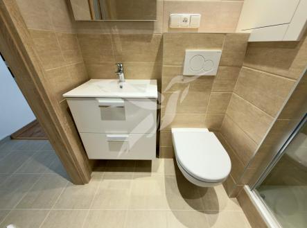 Pronájem bytu, 1+kk, 19 m²