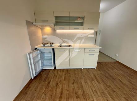 Pronájem bytu, 1+kk, 19 m²