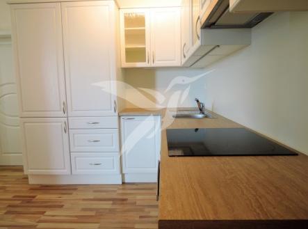 Pronájem bytu, 2+kk, 47 m²