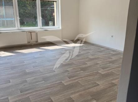 Pronájem domu/vily, 242 m²