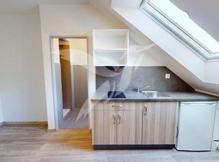 Pronájem bytu, 1+kk, 16 m²