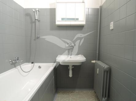 Pronájem bytu, 2+1, 49 m²