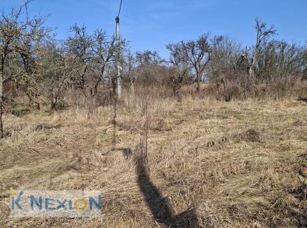 Prodej pozemku pro bydlení, 1 388 m²