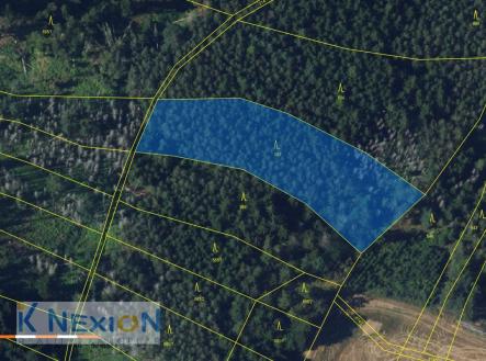 Prodej pozemku, les, 4 384 m²