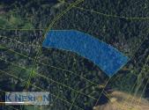 Prodej pozemku, les, 4 384 m²