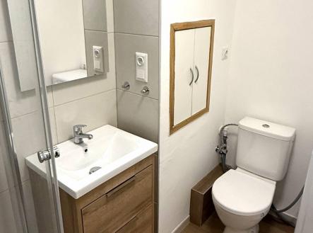 Pronájem bytu, 1+kk, 26 m²