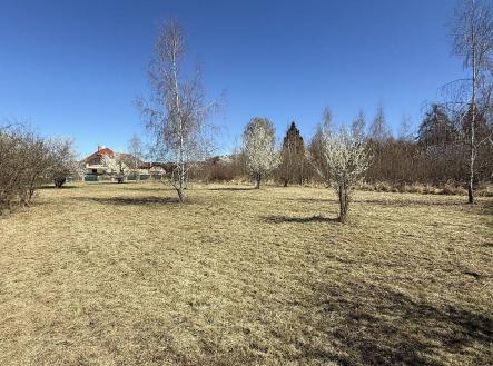 Prodej pozemku pro bydlení, 942 m²