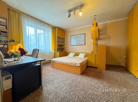 Prodej bytu, 2+1, 57 m²