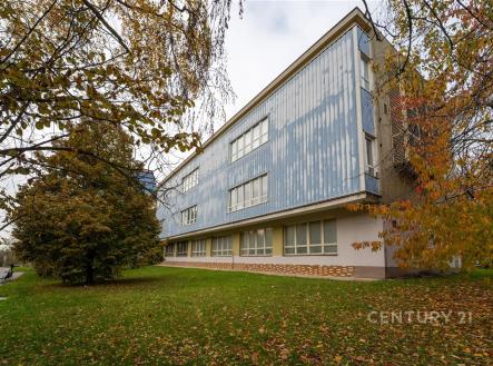 Pronájem kanceláře, 57 m²