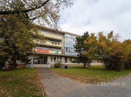 Pronájem kanceláře, 57 m²