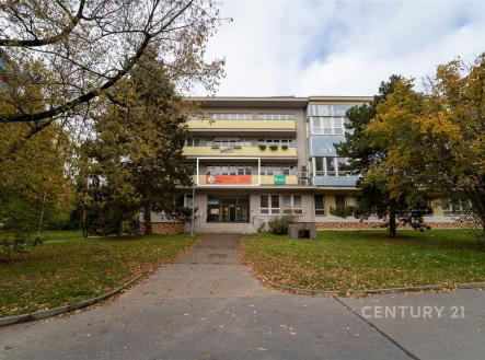 Pronájem kanceláře, 35 m²