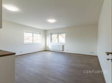 Pronájem bytu, 1+kk, 41 m²