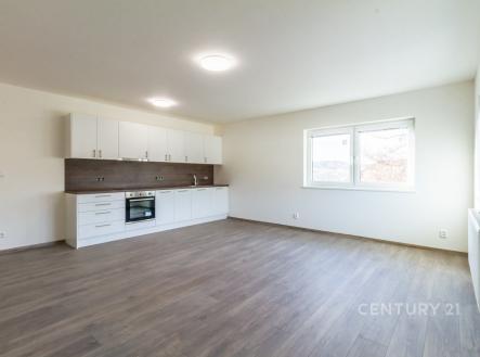 Pronájem bytu, 1+kk, 41 m² obrázek
