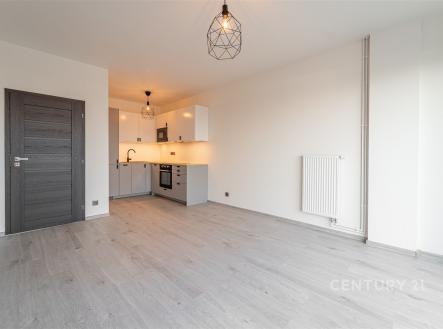 Pronájem bytu, 2+kk, 45 m²