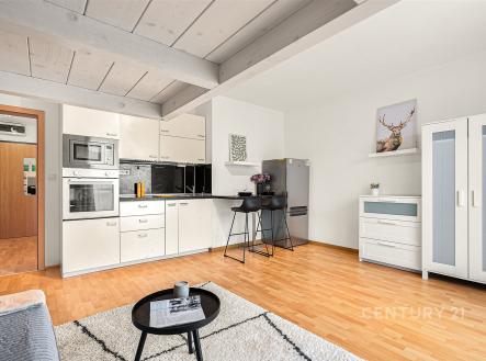 Prodej bytu, 1+kk, 31 m²