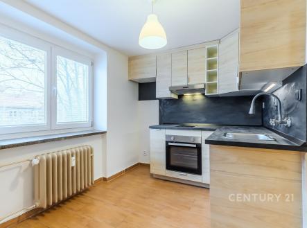 Pronájem bytu, 1+1, 28 m²