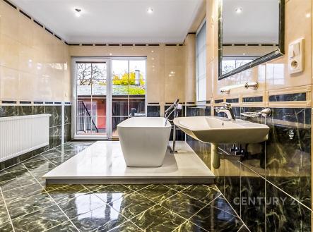 Prodej domu/vily, 410 m²