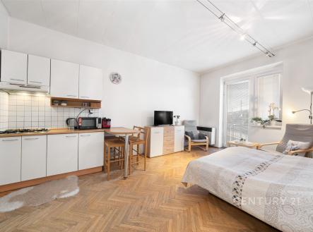 Prodej bytu, 1+kk, 30 m²