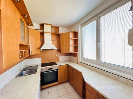 Pronájem bytu, 5+kk, 95 m²