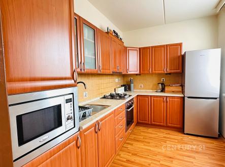 Pronájem bytu, 3+1, 67 m²