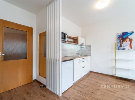 Pronájem bytu, 1+kk, 31 m²