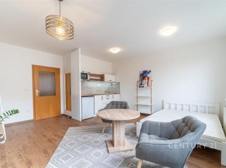 Pronájem bytu, 1+kk, 31 m²