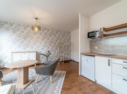 Pronájem bytu, 1+kk, 31 m²