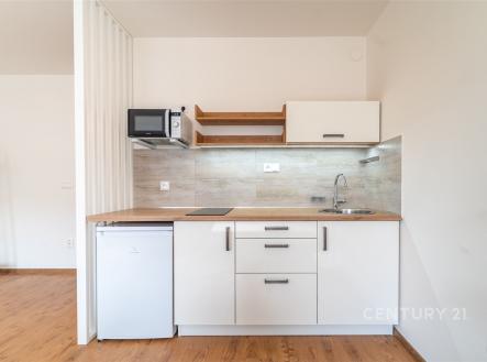 Pronájem bytu, 1+kk, 31 m²